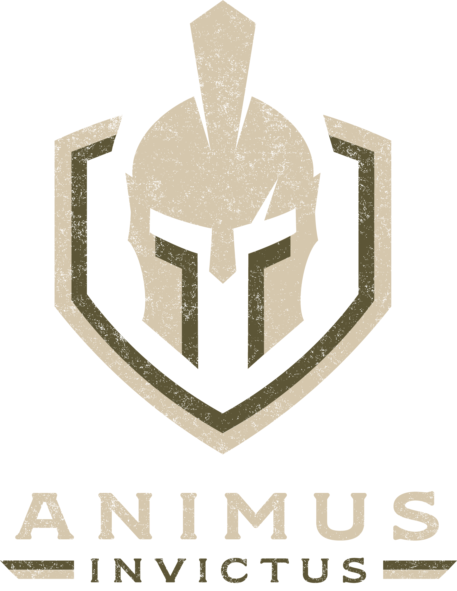 Animus Invictus